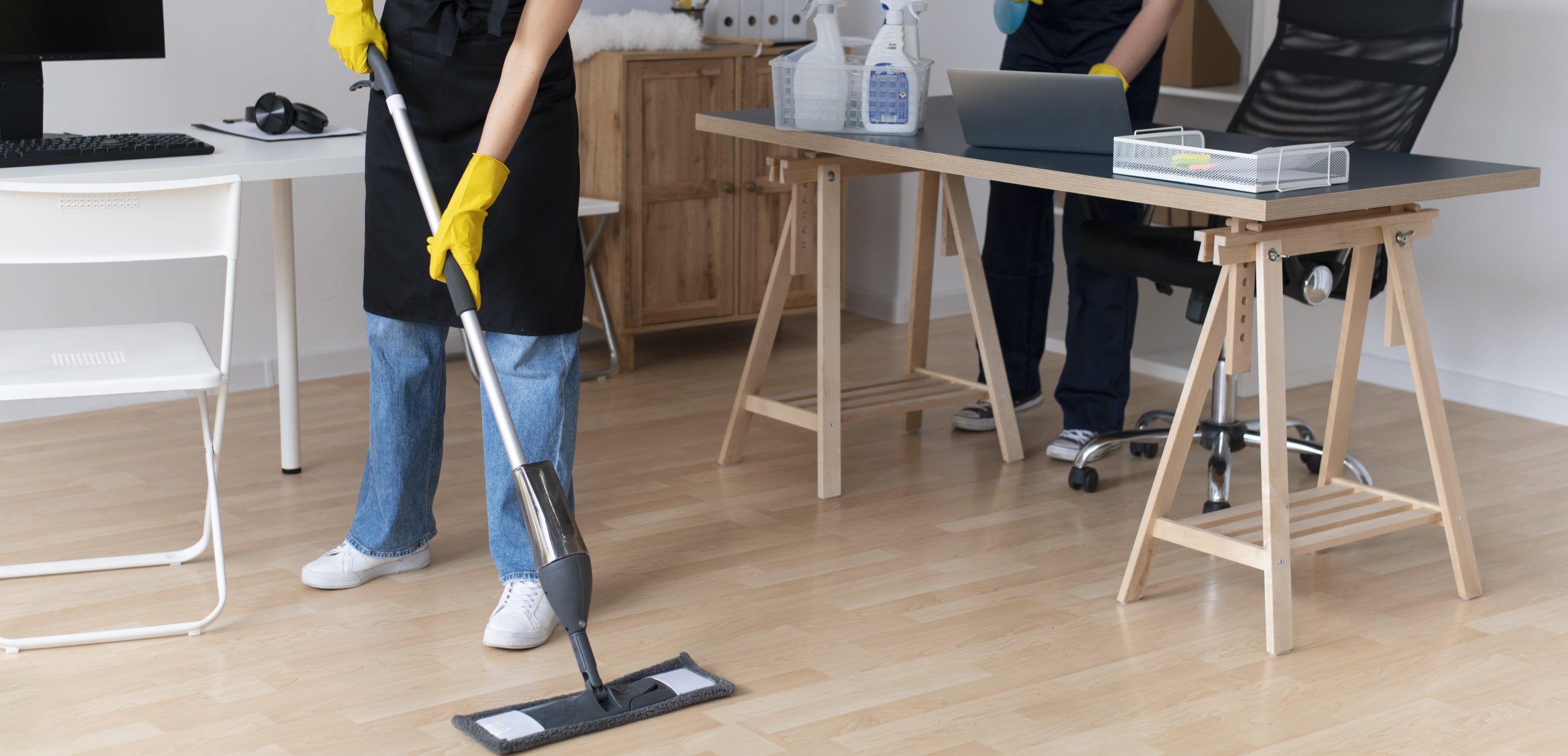 Importance of Professional Cleaning